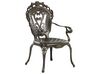 Conjunto de 2 sillas de jardín marrones SAPRI_765658