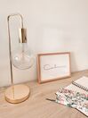 Metal Table Lamp Copper SAVENA_813418
