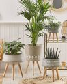Vaso para plantas com pernas de madeira em cerâmica taupe 41 x 41 x 63 cm ARTA_808836