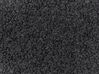 Conjunto de 2 cojines afelpados negros 40 x 40 cm CAMPONULA_888680