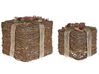 Set of 2 Rattan Decorative Christmas Gifts Red INARI_787406