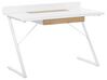 1 Drawer Home Office Desk 120 x 60 cm White with Light Wood FOCUS_802310