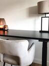 Adjustable Standing Desk 160 x 72 cm Black DESTIN II_820828