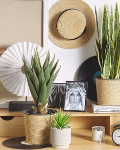 Tekokasvi 52 cm YUCCA Tekokasvi 52 cm YUCCA