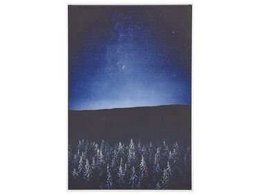 Nástenná maľba na plátne v ráme nočná krajina 63 x 93 cm modrá / čierna LORETO