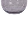 Vaso de vidro cinzento 22 cm POLYDROSOS_838060