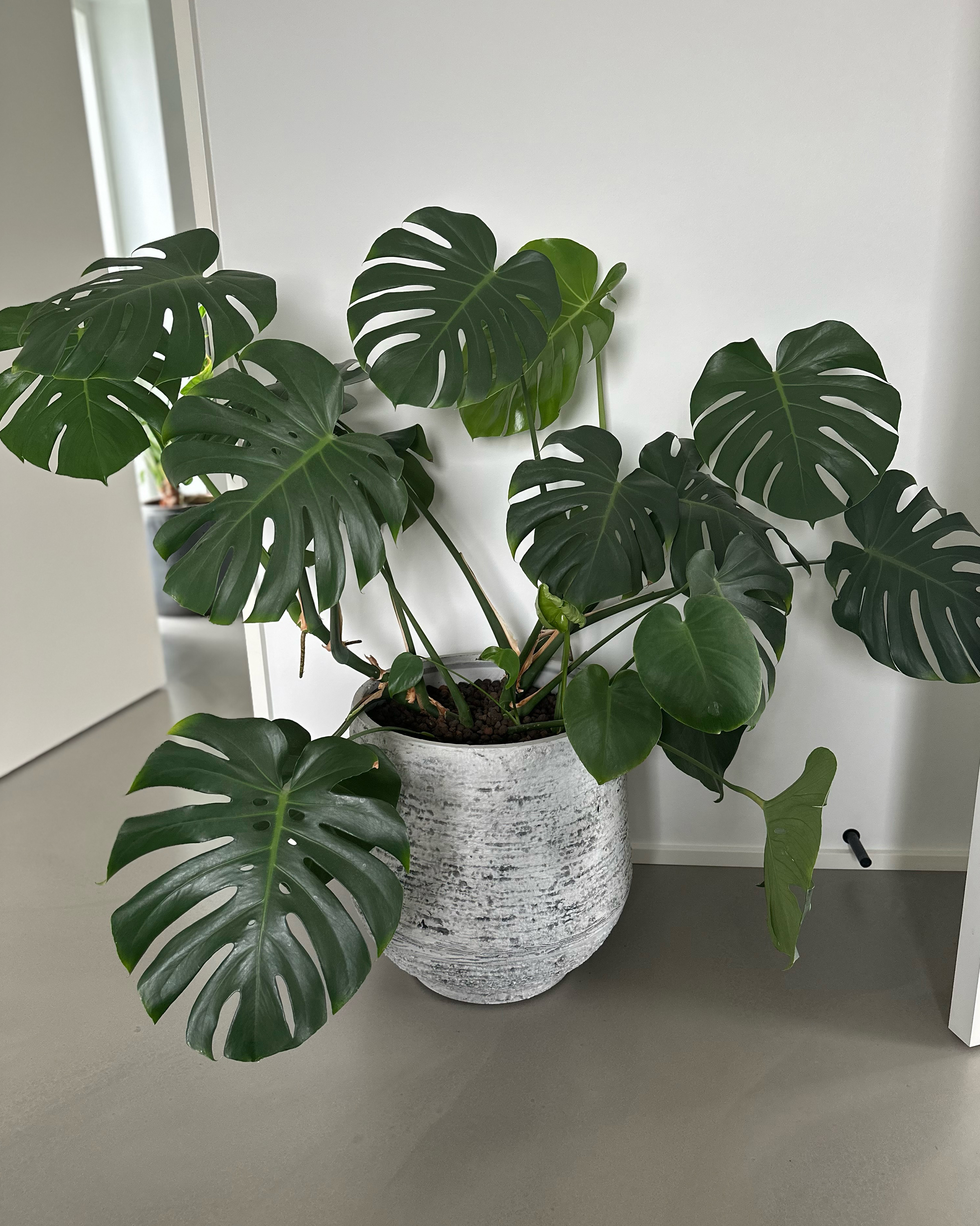 Plant Pot ⌀ 43 cm Grey DIONI_868073