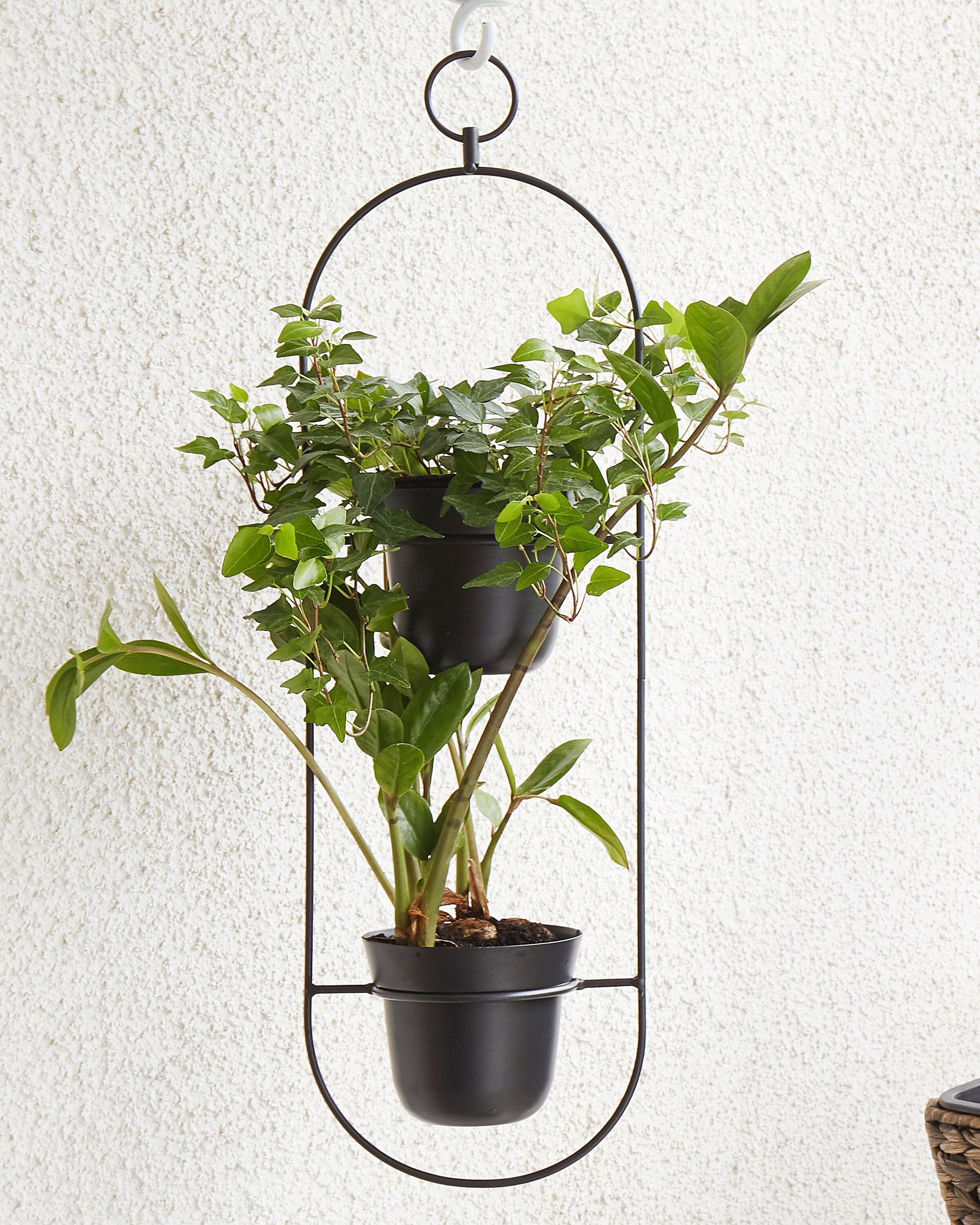 blumenampel schwarz blumenampel schwarz