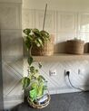 Conjunto de 3 cestas para plantas de jacinto de agua claro RONQUIL_915828