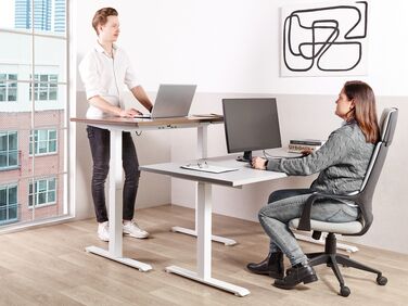 Adjustable Standing Desk 160 x 72 cm Grey and White DESTINES