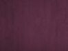 Penkki sametti säilytystila viininpunainen 79 x 37 cm DURHAM_844073