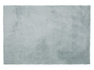 Teppich mintgrün 140 x 200 cm Shaggy EVREN