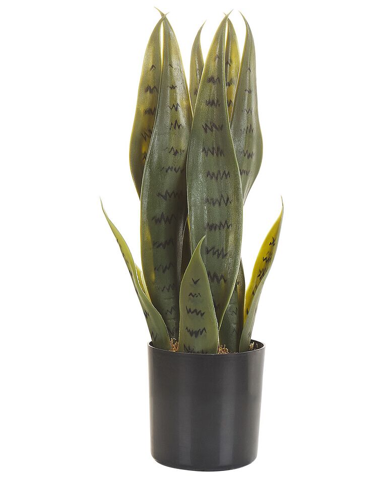 Pianta artificiale in vaso verde e nero 40 cm SNAKE PLANT_822699