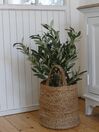 Plante artificielle 77 cm avec pot OLIVE TREE_828642
