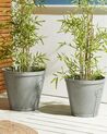 Plant Pot ⌀ 45 cm Grey VARI_874168