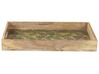 Dekotablett Mangoholz hellbraun / grün Blättermuster 26 x 40 cm TYLIS_824002