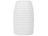 Vase hvid stentøj 25 cm LINZI_733855