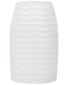 Dekoratívna kameninová váza 25 cm biela LINZI_733855