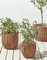 Set of 3 PE Rattan Plant Baskets Brown AUCUBA_914400