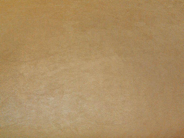 Leather EU King Size Bed Gold AVIGNON Beliani.co.uk