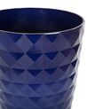 Conjunto de 2 vasos para plantas em fibra de argila azul marinho 42 x 42 x 59 cm FERIZA_844508