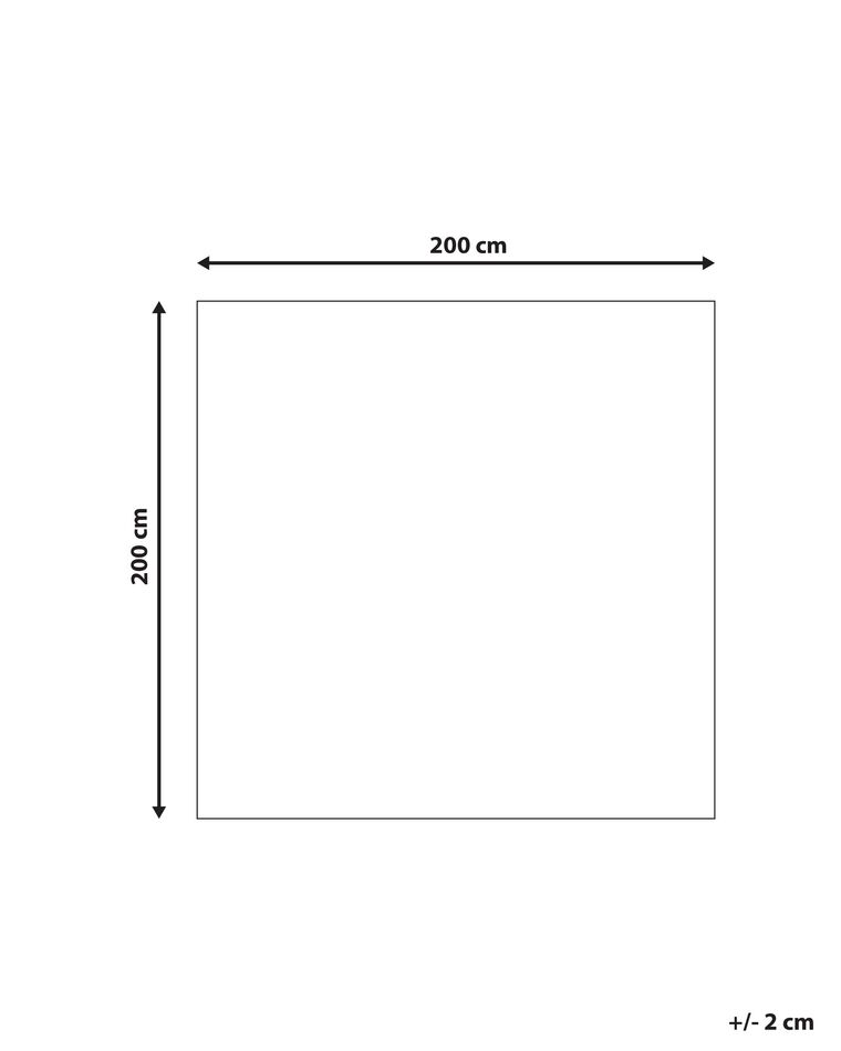 Shaggy Area Rug 200 x 200 cm Dark Grey EVREN Beliani.co.uk