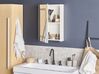 Bathroom Wall Mounted Mirror Cabinet with LED White 40 x 60 cm MALASPINA_811289