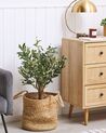 Artificial Potted Plant 77 cm OLIVE TREE_812298