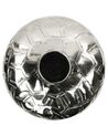 Kukkamaljakko alumiini hopea 33 cm INSHAS_765788