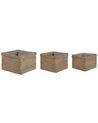 Set of 3 Seagrass Plant Pots Baskets Natural RIVULINE_825040