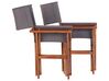 Zestaw 2 krzeseł ogrodowych i 2 wymiennych tkanin ciemne drewno akacjowe z szarym / wzór geometryczny CINE_819370