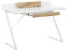 1 Drawer Home Office Desk 120 x 60 cm White with Light Wood FOCUS_802312