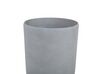 Conjunto de 2 vasos para plantas em pedra cinzenta 23 x 23 x 43 cm ABDERA_841240