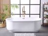 Freestanding Bath 1700 x 800 mm White PINEL_765341