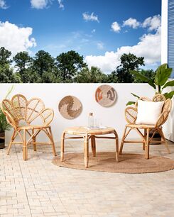 Riikinkukkotuoli rottinki luonnonväri 2 kpl FLORENTINE II