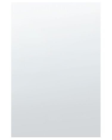Nástěnné zrcadlo 40 x 60 cm stříbrné ANGERS