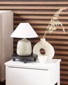 Ceramic Table Lamp Grey CANELLES_844200