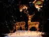 Outdoor Weihnachtsbeleuchtung LED schwarz Rentier 70 cm NARUSKA_829646