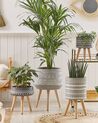 Plant Pot Stand 44 x 44 x 61 cm Light Grey MALAKI_808845