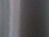 Tischlampe schwarz / silber 52 cm Trommelform AIKEN_540019