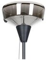 Stehlampe Rauchglas schwarz / silber 175 cm TALPARO_851417