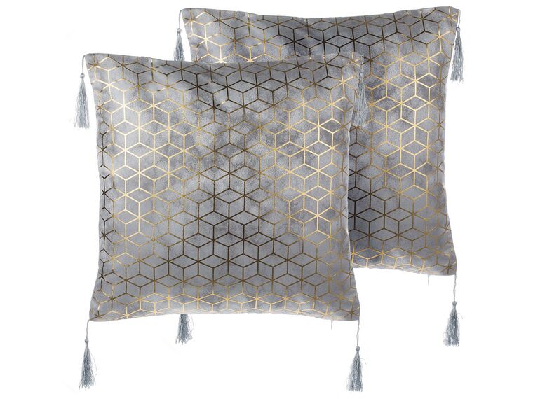 Set of 2 Cushions Geometric Pattern with Tassels 45 x 45 cm Silver CAMELLIA_770334