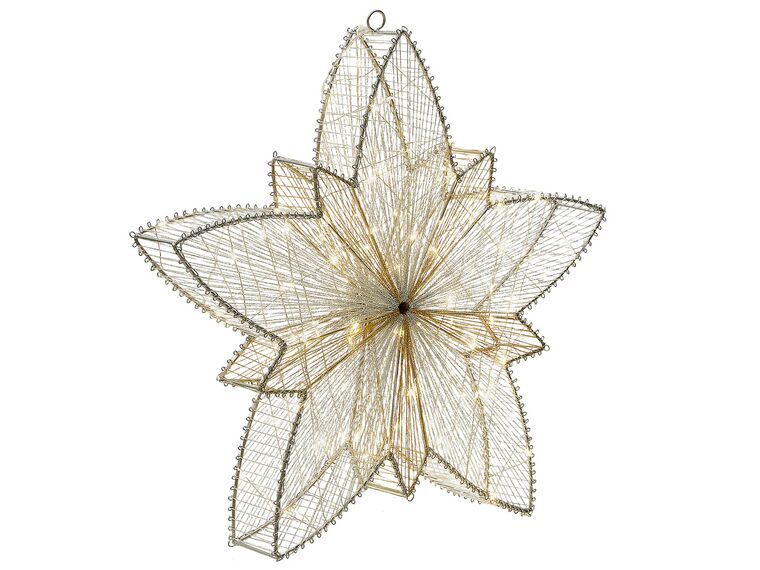 Outdoor LED Hanging Decor Star 50 cm Silver HOFSOS_880448