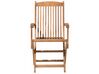 Conjunto de 2 cadeiras de jardim em madeira de acácia MAUI_722055