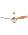 Ceiling Fan with Light Brown MUDDY_861559
