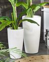 Set of 2 Plant Pots ⌀ 32 cm White TSERIA_844431