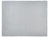 Funda de manta pesada gris 150 x 200 cm CALLISTO_891852