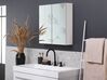 Badeværelsesskab med Spejl 60x60 cm Hvid/Sølv NAVARRA_811248