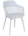 Set of 2 Dining Chairs Light Grey ALMIRA_861904