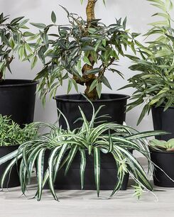 Istutusruukku muovi musta ⌀ 16 cm 3 kpl BALZO